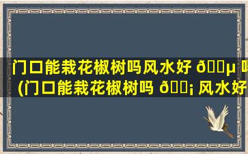 门口能栽花椒树吗风水好 🐵 吗(门口能栽花椒树吗 🐡 风水好吗*
)
